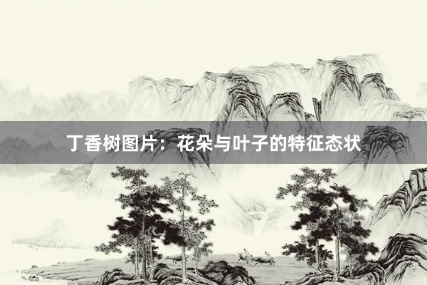 丁香树图片：花朵与叶子的特征态状