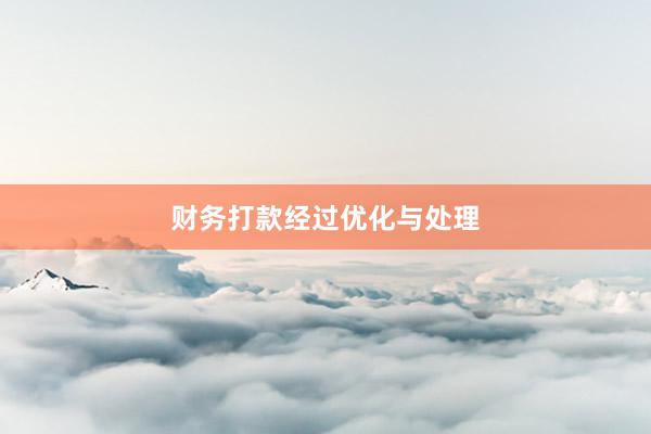 财务打款经过优化与处理